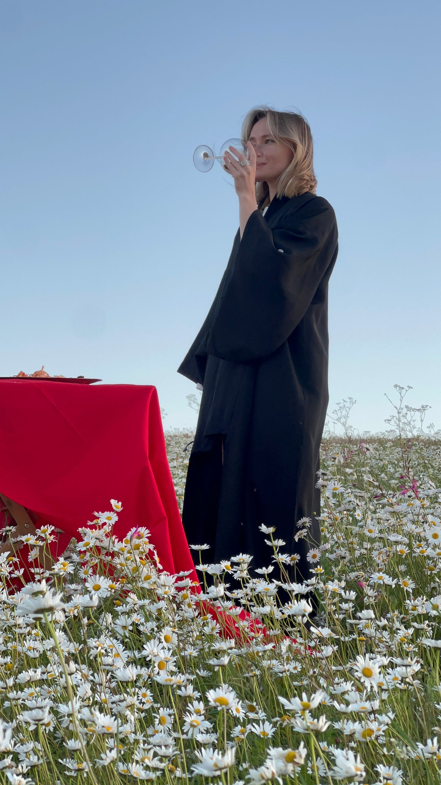 Daisy Fields