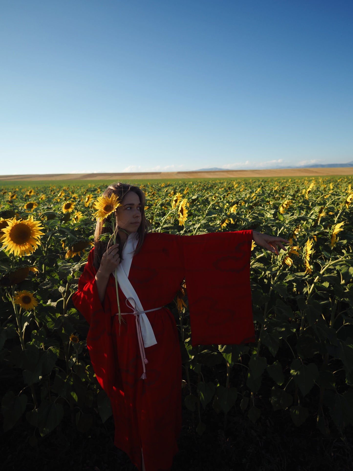 Sunflowers & Rye