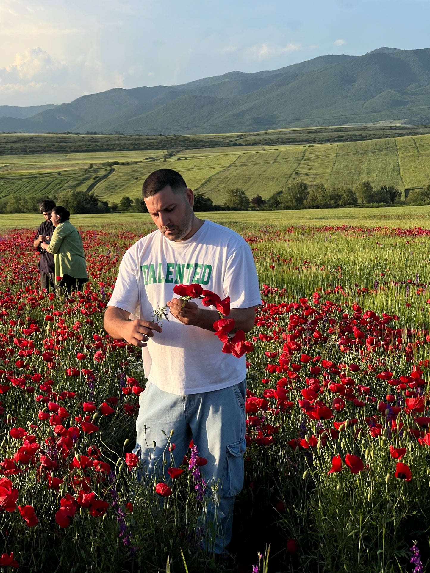 Poppy Fields